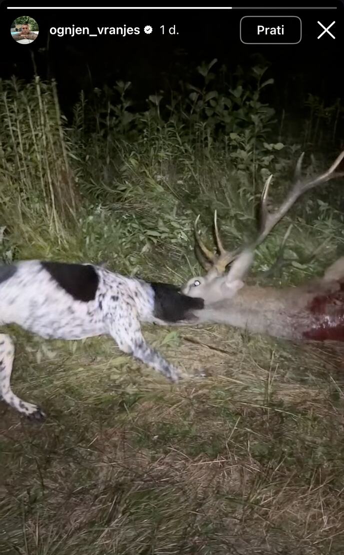Ognjen Vranješ objavio sliku ubijene životinje