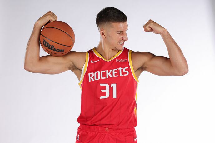 Bogdan Bogdanović
