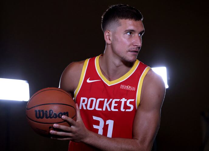 Bogdan Bogdanović