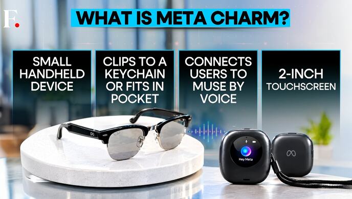 meta charm (2).jpg