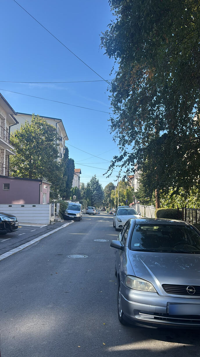 Zoran Marjanović ulica gde se desio napad