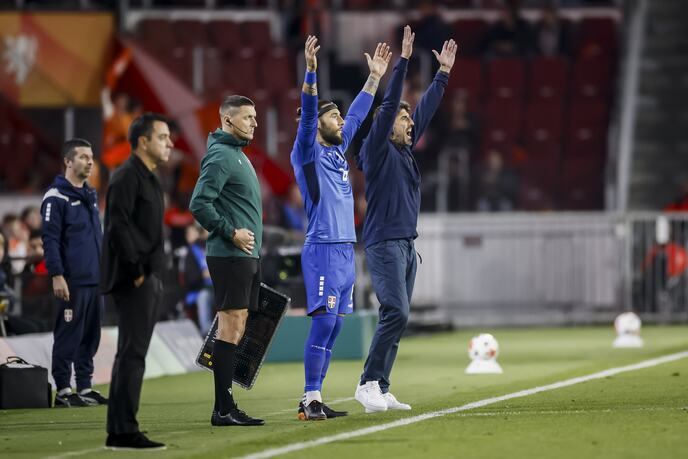Veljko Paunović, Nemanja Gudelj, Fudbalska reprezentacija Srbije