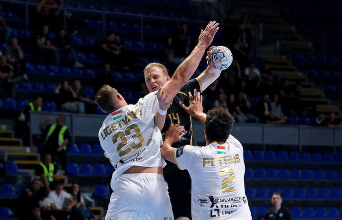 partizan-veszprem-33425514.JPG