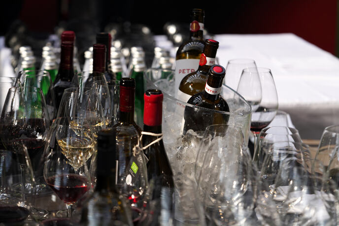 Wine vision by Open Balkan Sajam vina