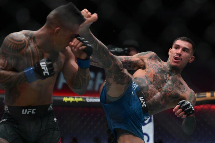 Andre Fili
