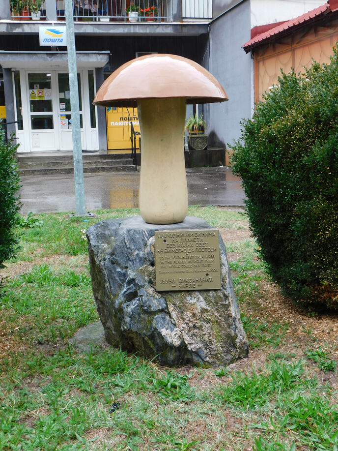 BANJA KOVILJAČA - Spomenik gljivi.jpg
