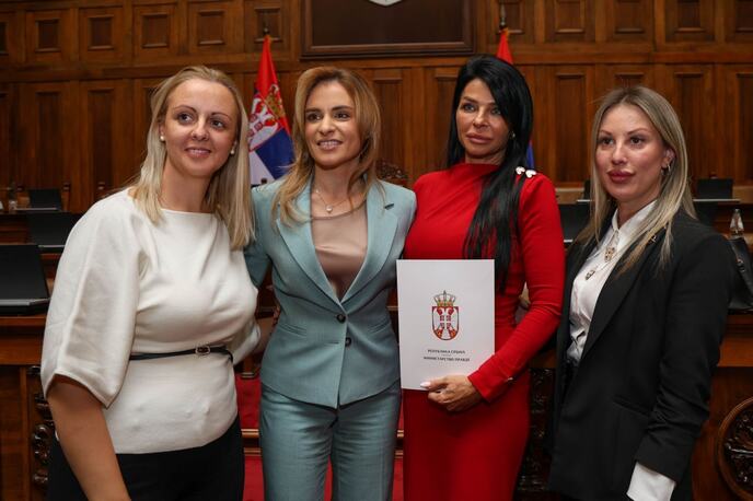 Milica Đurđević Stamenkovski socijalna zaštita