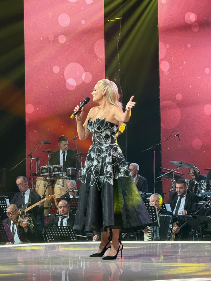 Ilda Šaulić