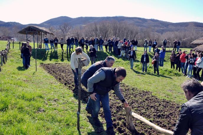 plocnik-neolitsko-naselje-arheologija.jpg