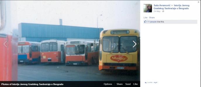 gsp-beograd-tramvaj-autobus-trolejbus.jpg