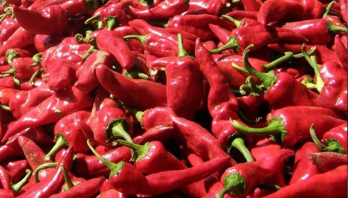 paprika-foto-fonet.jpg
