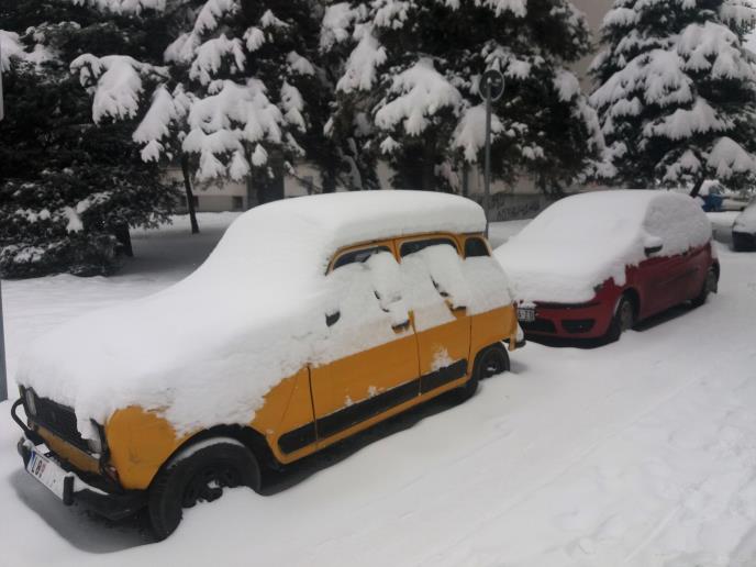 loznica--napadalo-.jpg