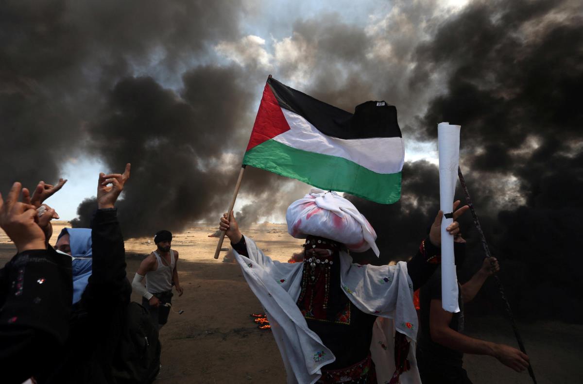 gaza-r10.jpg