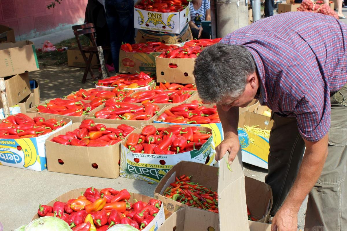 ajvar-paprike-jagodina-foto-tanjug-dusan-anicic-7.jpg