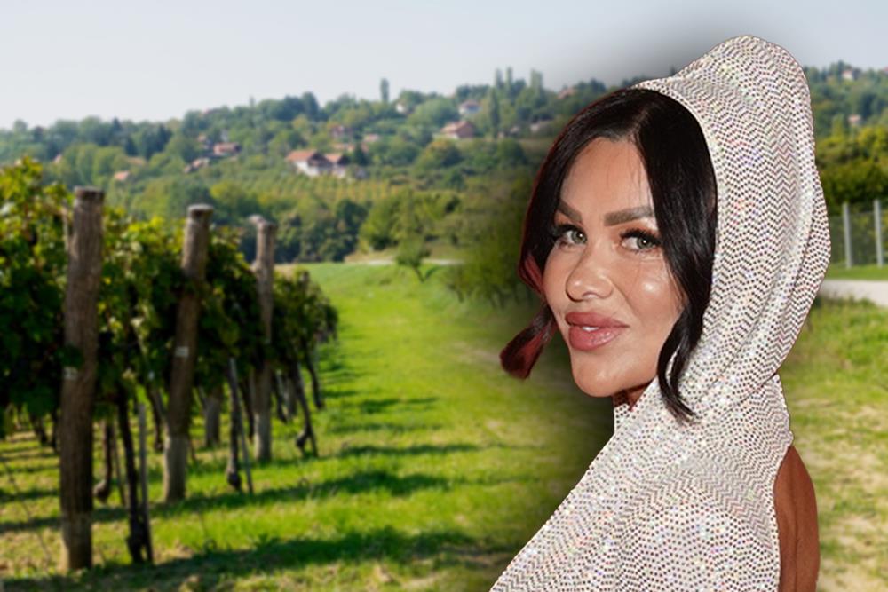 STANIJA GRADI FARMU NA FRUŠKOJ GORI: Posle raskida sa Asminom ulazi u investitorske vode - ima razrađen plan, a ovaj muškarac bi vodio sve